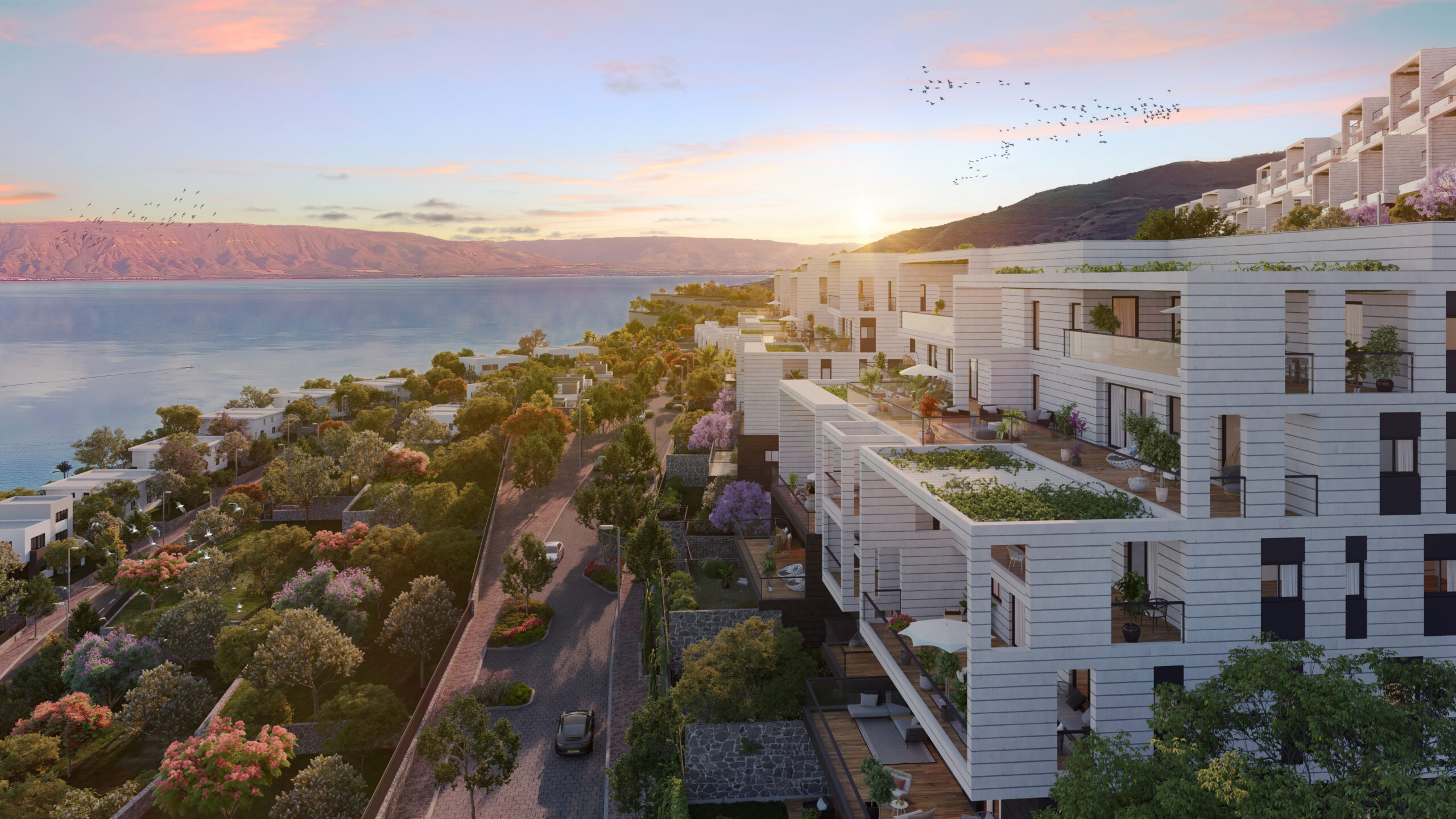 הדמיית חוץ KAVA